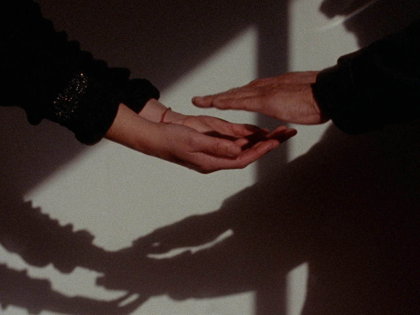 Festivales: Reseña "Una Sombra Oscilante" FICValdivia 2024