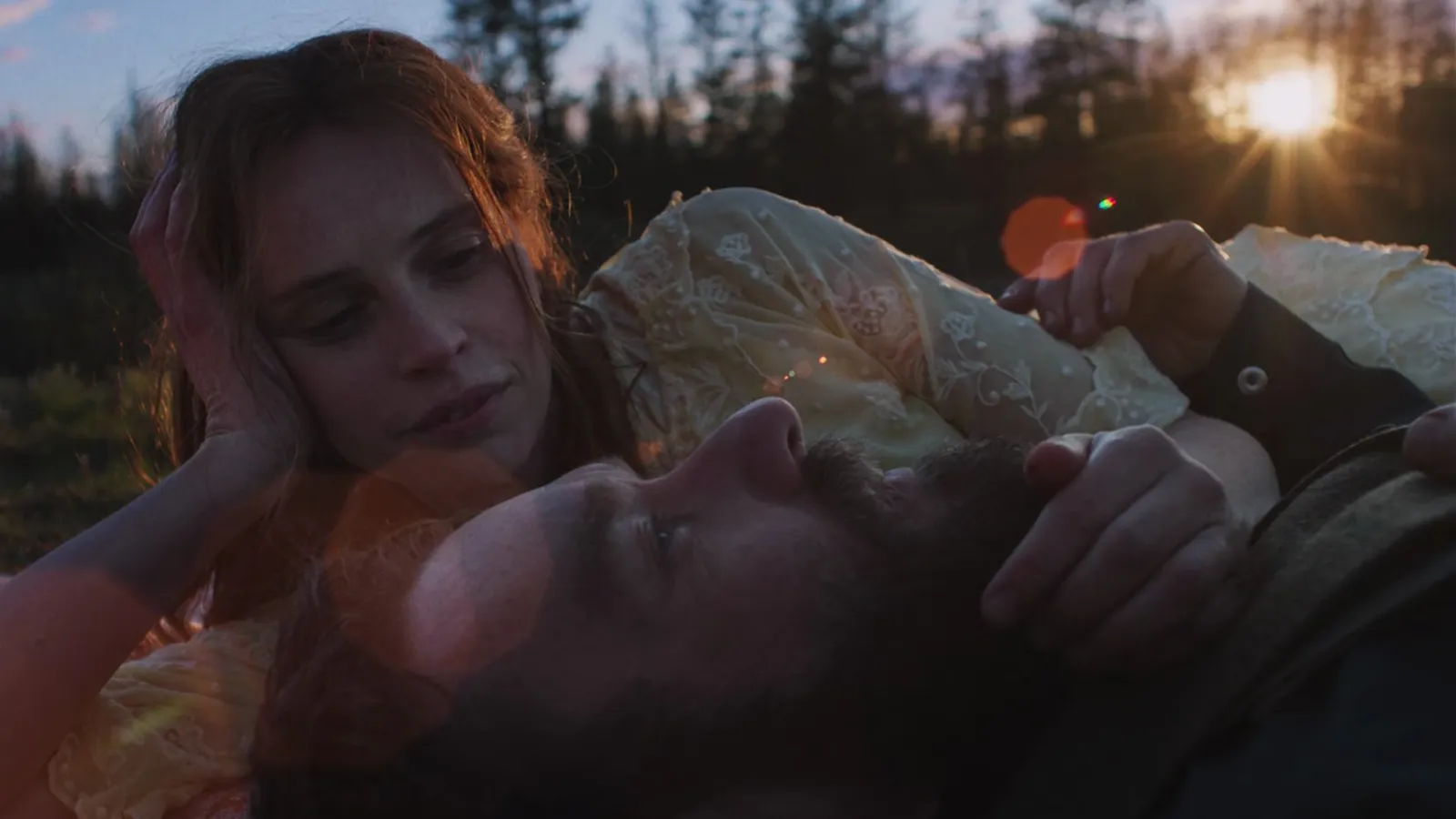 'Train Dreams': El arte de buscar un sentido